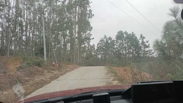 wx_camera_1708998071249.jpg
