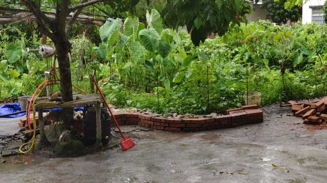 wx_camera_1721807746839.jpg