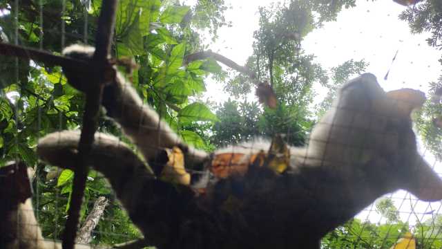 wx_camera_1723865031396.jpg
