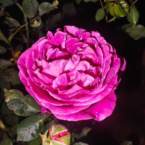 IMG_20250328_185800.jpg