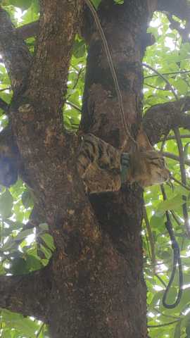 wx_camera_1743916397079.jpg